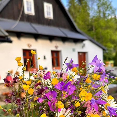 Villa Rozpravkovy Domcek Zvoncek Donovaly Exterior foto